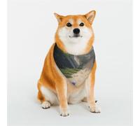 The Lost Beach - Bufanda triangular para mascotas, accesorio para mascotas, pañuelo lavable para mascotas, para niñas, niños, perros o gatos, talla M