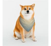 The Lost Boat - Bufanda triangular para mascotas, accesorio para mascotas, pañuelo lavable para mascotas, para niñas, niños, perros o gatos, talla M