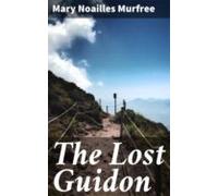 The Lost Guidon (ebook)