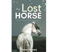 The Lost Horse - Book 6 in the Connemara Horse Adventure Series for Kids | The Perfect Gift for Children age 8-12 (Connemara Adventures)