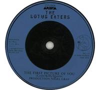 The Lotus Eaters - The First Picture Of You
