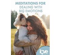 The Love Destination Courses: Meditations for Dealing with Big Emotions [USA] [DVD]