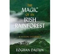The Magic Of An Irish Rainforest
