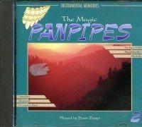 The Magic Pan Flute 2