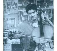 Magnetic Fields - 69 Love Songs 2