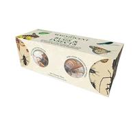 The Magnificent Box of Bugs and Insects