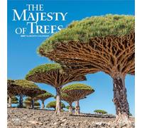 The Majesty of Trees 2027 12 X 24 Inch (Hanging) Monthly Square Wall Calendar Plastic-Free: Original BrownTrout-Kalender [Mehrsprachig] [Kalender]