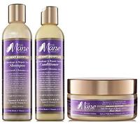 The Mane Choice - Champú y acondicionador antídoto anti rotura y reparación egipcio antiguo con mascarilla capilar