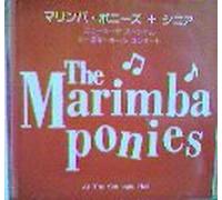 The Marimba Ponies At The Carnegie Hall