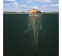 Mars Volta,the - De-Loused in the Comatorium [Vinilo]