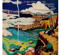 The Marshall Tucker Band - A New Life