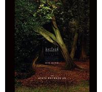 The Matthew Herbert Big Band - The State Between Us (3 LP)