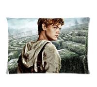 The Maze Runner Custom Zippered Cotton & Polyester Pillowcases Pillow Cases 20x30 (Twin sides)