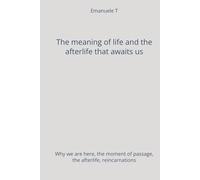 The meaning of life and the afterlife that awaits us: Why we are here, the moment of passage, the afterlife, reincarnations