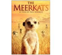 The Meerkats by Paul Newman