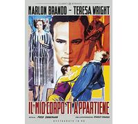 The Men [DVD] (IMPORT) (No hay versión española)