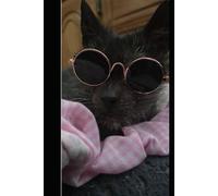 The Meows of a Deaf Cat Whisperer