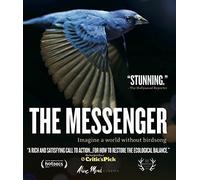 The Messenger [USA] [Blu-ray]