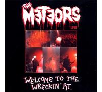The Meteors - Welcome To The Wrecking Pit