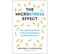The Microstress Effect: How Little Things Pile Up and Create Big Problems--and What to Do about It
