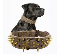 The Mighty Collar para Perros, Grande, con púas, Protege el Cuello de mordiscos, Duradero y Elegante, para Perros Grandes, Gris, Talla S