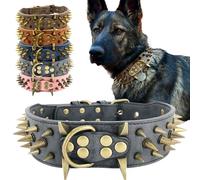The Mighty - Collar de Perro Grande con Tachuelas, Protege el Cuello de tu Perro de mordeduras, Duradero y Elegante, para Perros Grandes (Negro, S)