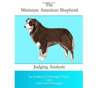 The Miniature American Shepherd Judging Analysis