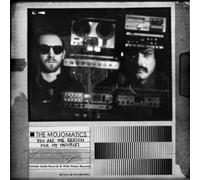 the Mojomatics - You Are the Reason for My Troubles [Vinyl LP] [VINYL] [Vinilo]