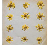 The Molochs - Flowers In The Spring [Casete]