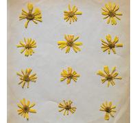 The Molochs - Flowers In The Spring [Vinilo]