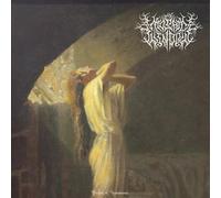The Mosaic Window PLIGHT OF ACCEPTANCE (CD)
