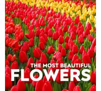 The Most Beautiful Flowers: A Large Print Picture Book for Seniors | 60 Stunning Flower Photos with Names | A Thoughtful Gift for Adults with Dementia or Alzheimer's