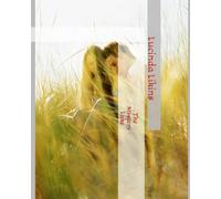 The Mystery Lake: seductive romance mystery