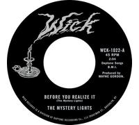 The Mystery Lights - Before You Realise It + Cerebral Crack [Vinilo]
