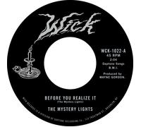 The Mystery Lights Before You Realise It/Cerebral Crack (Vinyl) 7" Single