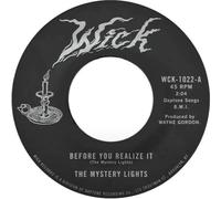 THE MYSTERY LIGHTS Before You Realize It (7") Nuevo