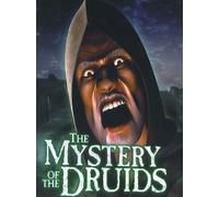 The Mystery of the Druids Steam Key GLOBAL