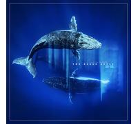 THE NAKED SOULS - REVERB FROM THE DEPTHS (2LP) [Vinilo]