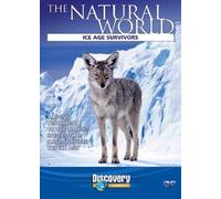 The Natural World - Ice Age Survivors [Alemania] [DVD]