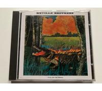 The Neville Brothers - Fire on the Bayou