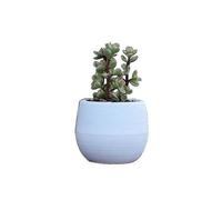 The new 1 pcs resin flower pot