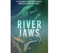 The New Coach Guide to Youth Football Skills and Drills [USA] [DVD]