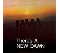 The New Dawn - There's a New Dawn [Vinyl] [Vinilo]
