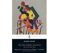 The New Negro Aesthetic (ebook)