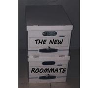 The New Roommate