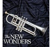 The New Wonders [Vinilo]