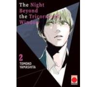 The Night Beyond The Tricornered Window 2