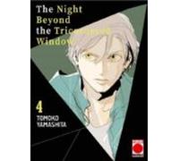 The night beyond the tricornered window 4