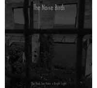 The Noise Birds The Dark Sea Hides a Bright Light (Vinyl) (Importación USA)
