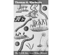 The North American Slime-moulds (ebook)